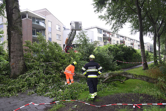 2020/129/20200627-09u07 GB 008 Stormschade Kamerlingh Onneslaan.jpg